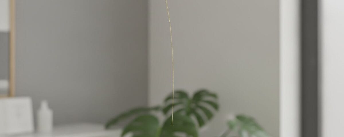 How Long Do PDO Threads Last? Longevity & Results Guide